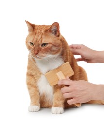 Photo of Woman brushing cute ginger cat's fur on white background, closeup