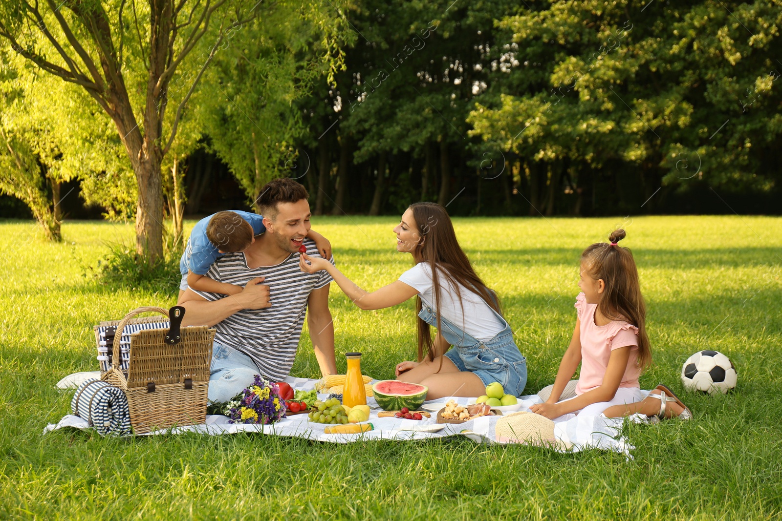 Photo of Happy family having picnic in park on sunny summer day