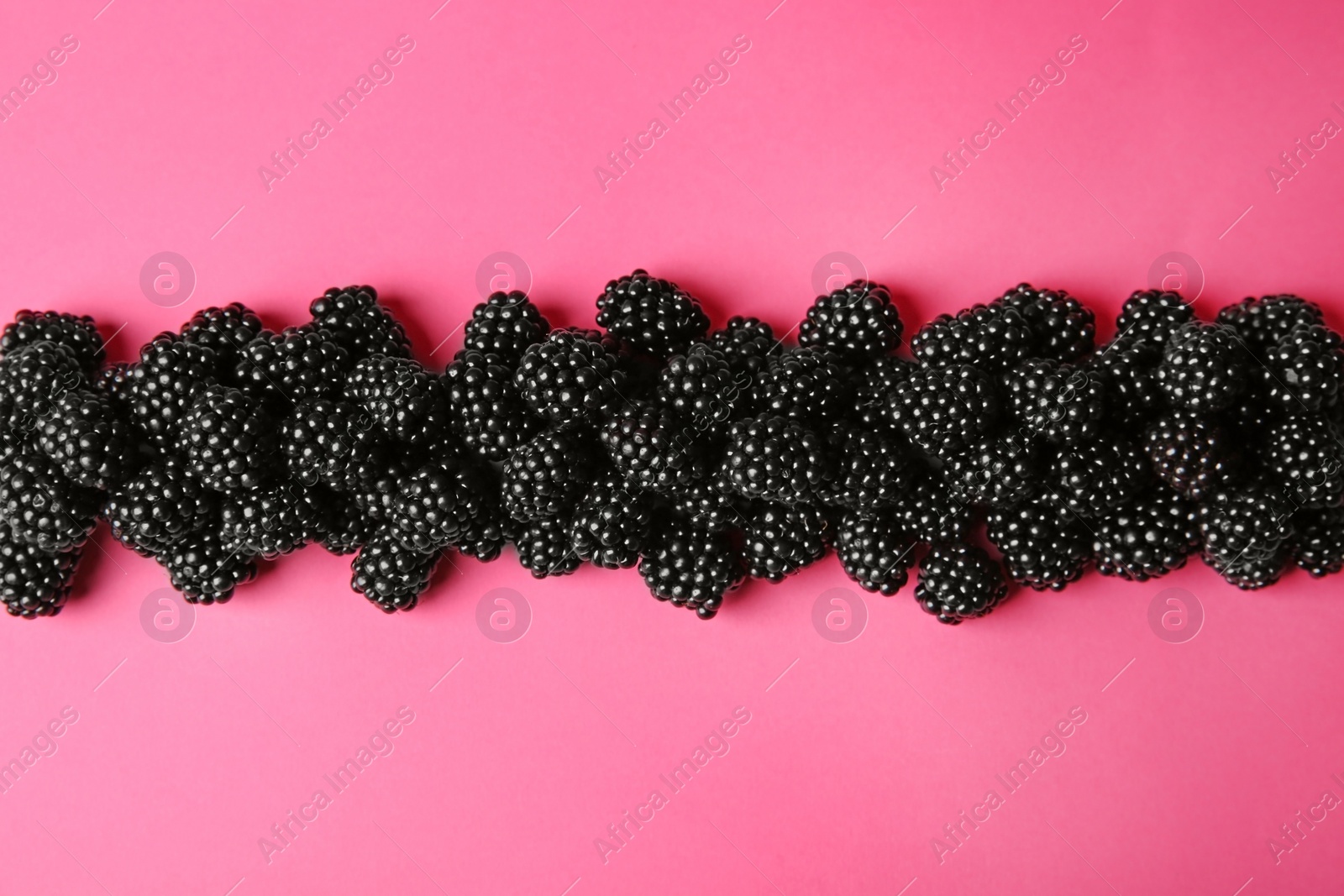 Photo of Flat lay composition with ripe blackberries on pink background