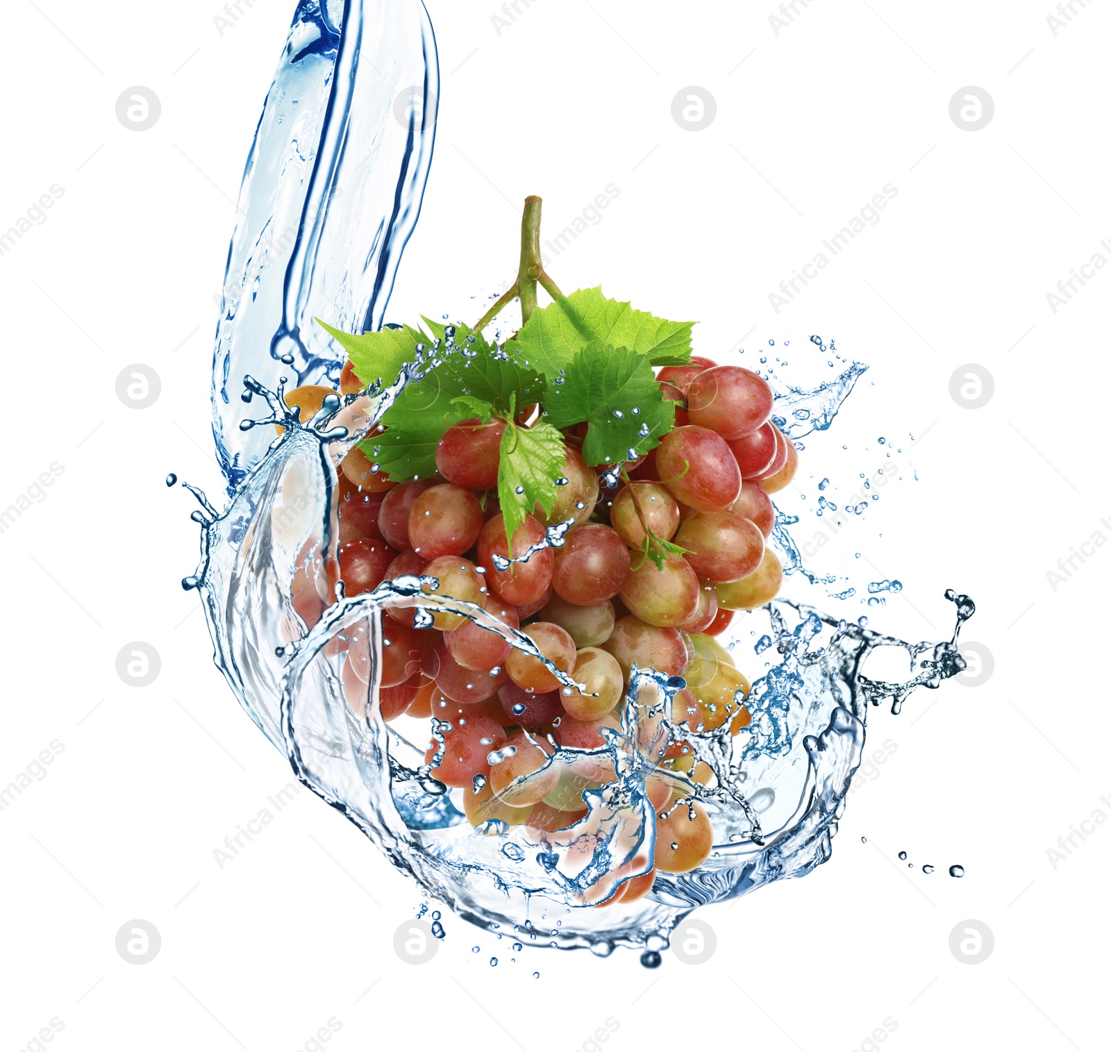 Image of Grape cluster with water splash on white background