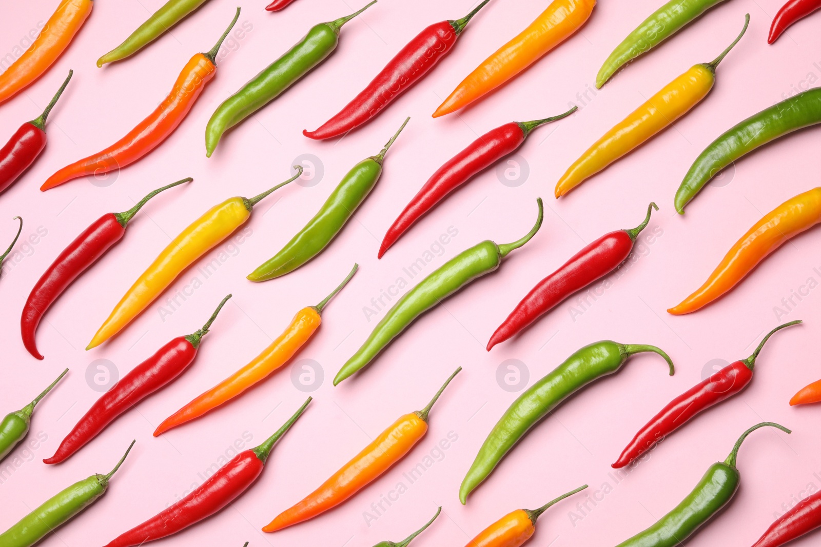 Photo of Different colorful chili peppers on light pink background, flat lay