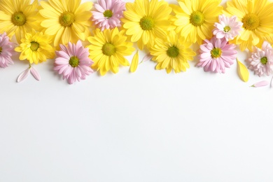 Beautiful chamomile flowers on white background, flat lay with space for text