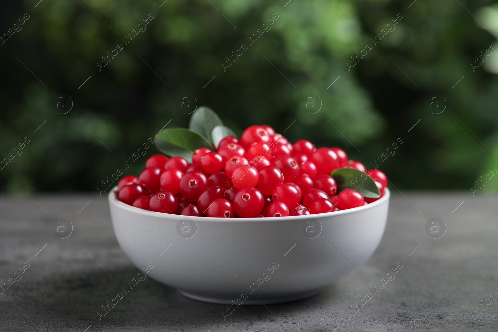 Photo of Ripe fresh cranberry in ceramic bowl on grey table