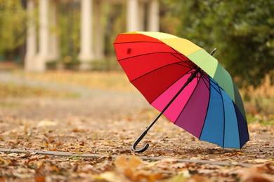 Photo of Open rainbow umbrella on fallen leaves in autumn park, space for text
