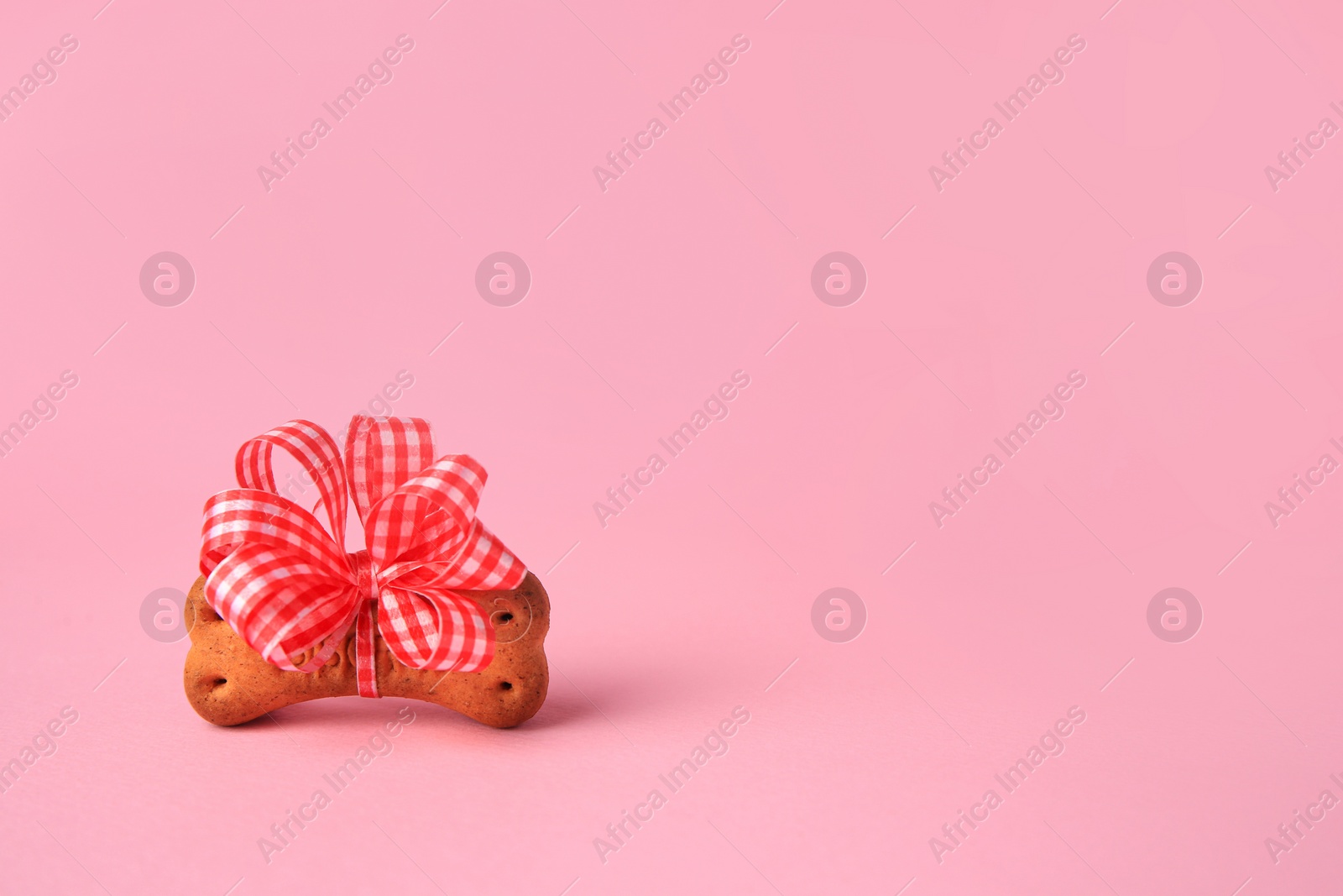 Photo of Bone shaped dog cookie with bright bow on pink background. Space for text