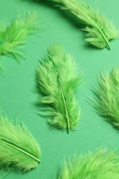 Photo of Bright feathers on green background, flat lay