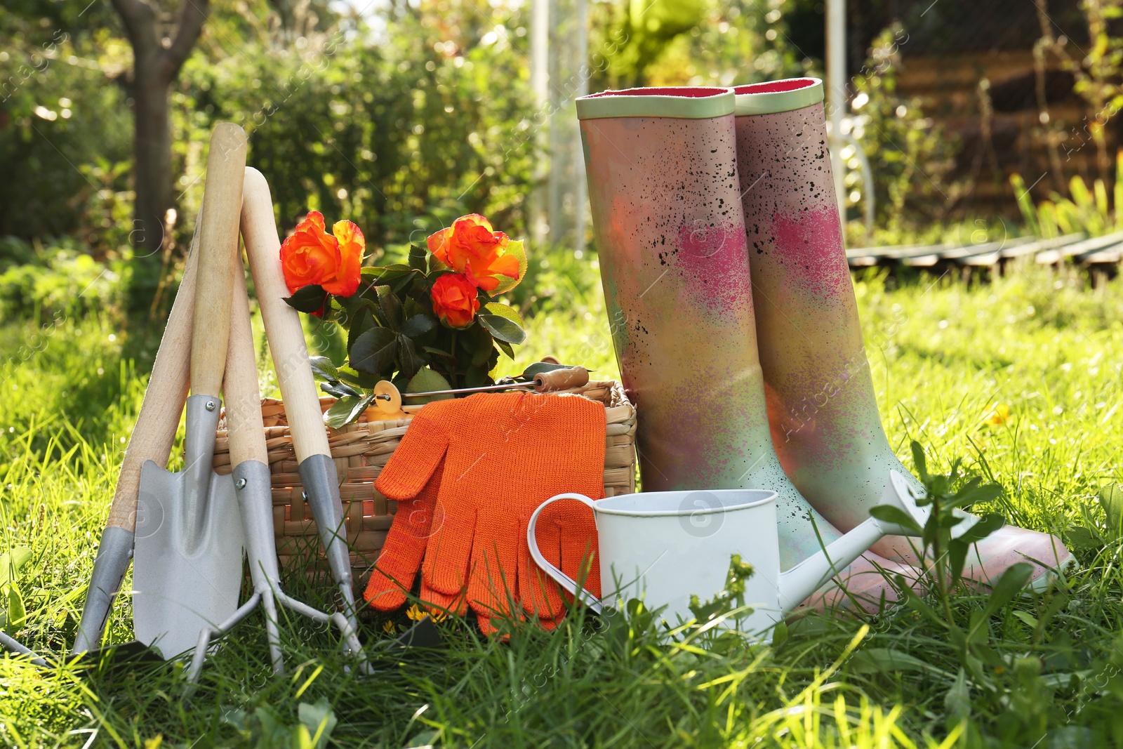 Photo of Pair of gloves, gardening tools, blooming rose bush and rubber boots on grass outdoors