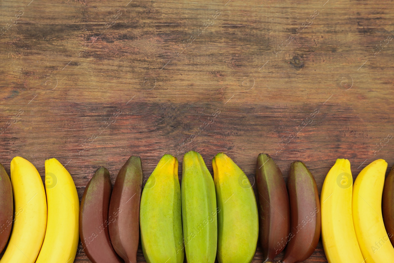 Photo of Many different bananas on wooden table, flat lay. Space for text