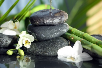 Photo of Spa stones, flowers and bamboo branches in water