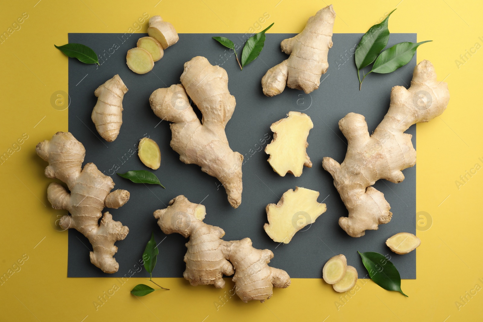Photo of Fresh ginger with green leaves on pale light yellow background, flat lay