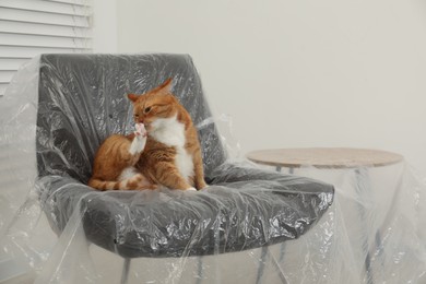 Photo of Cute ginger cat resting in armchair near table covered with plastic film indoors