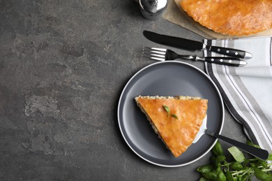 Delicious pie with meat and basil on grey table, flat lay. Space for text