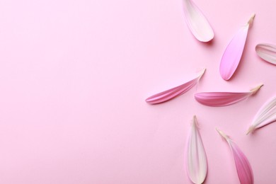 Photo of Beautiful fresh gerbera petals on pink background, flat lay. Space for text