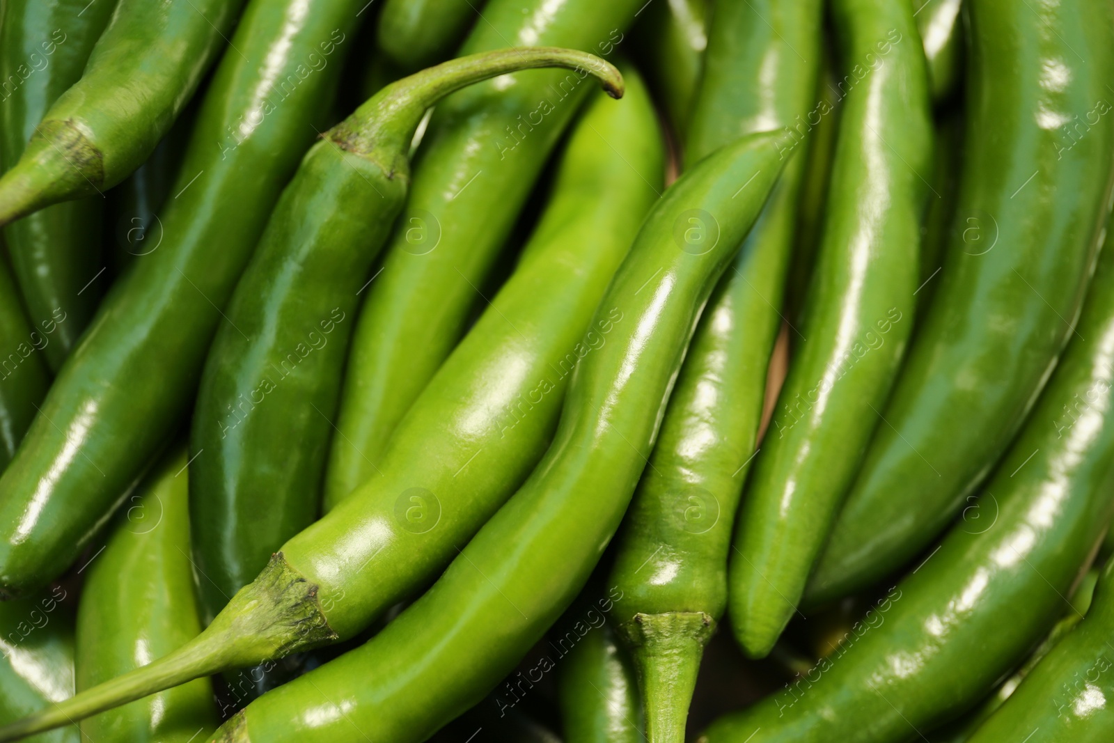 Photo of Green hot chili peppers as background, closeup