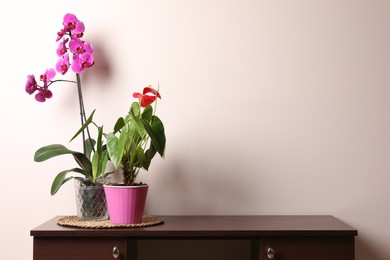 Beautiful houseplants in pots on table near beige wall. House decor