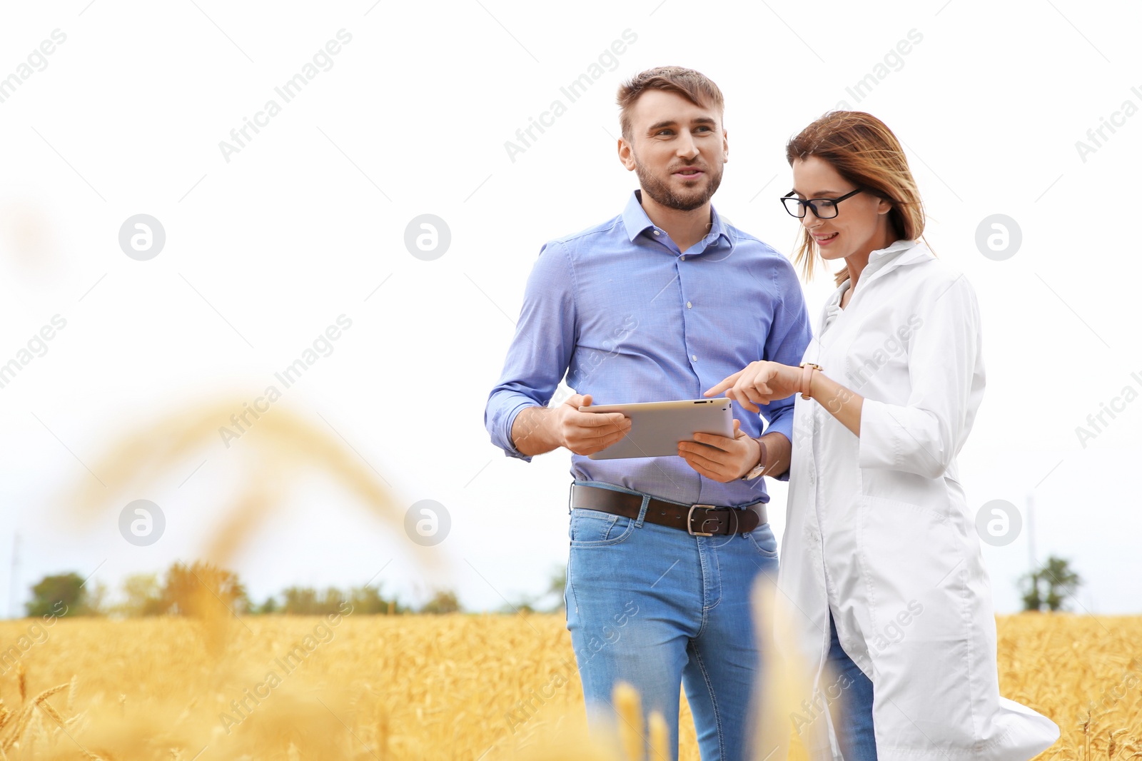 Photo of Young agronomists in grain field. Cereal farming