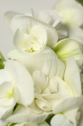 Photo of Beautiful white geranium flowers as background, closeup