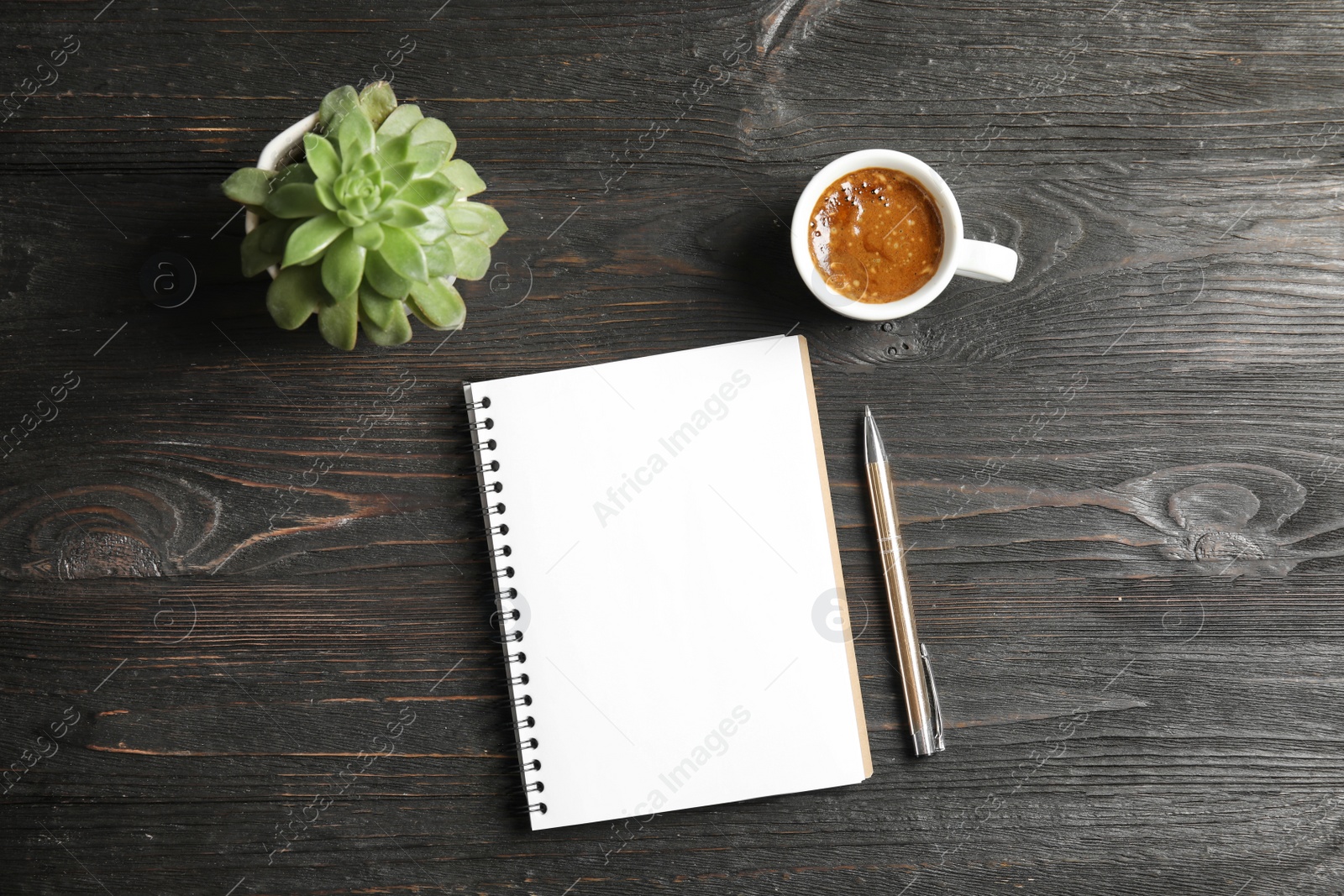 Photo of Notebook, coffee and plant on dark wooden background