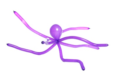 Spider figure made of modelling balloon on white background