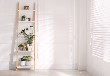 Photo of Elegant decorative ladder with houseplants near white wall in light room. Space for text