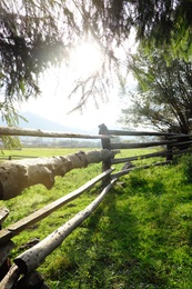 Wooden fence and fir in field on sunny day