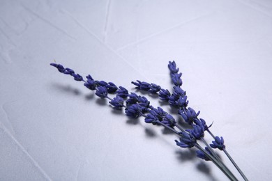 Photo of Beautiful preserved lavender flowers on light grey textured table