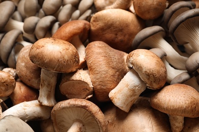 Photo of Different fresh wild mushrooms as background, closeup