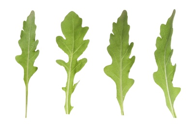 Set of green arugula leaves on white background 