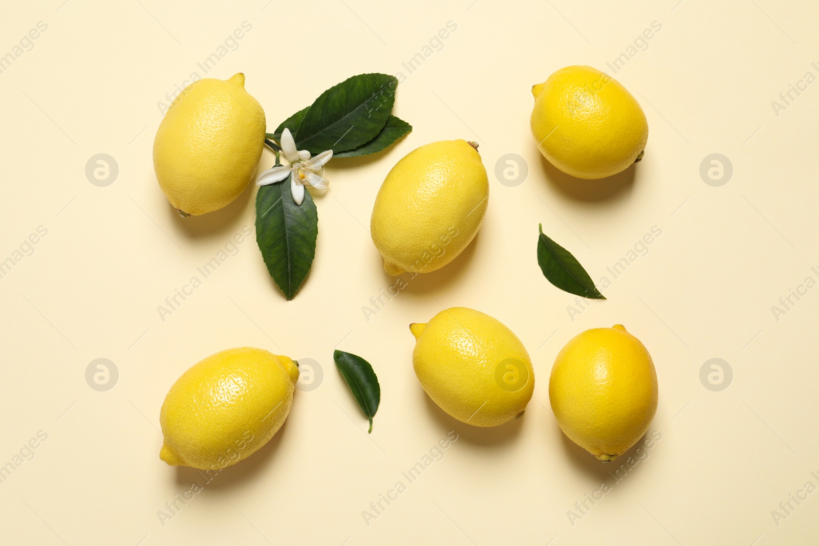 Photo of Fresh ripe lemons with green leaves and flower on beige background, flat lay