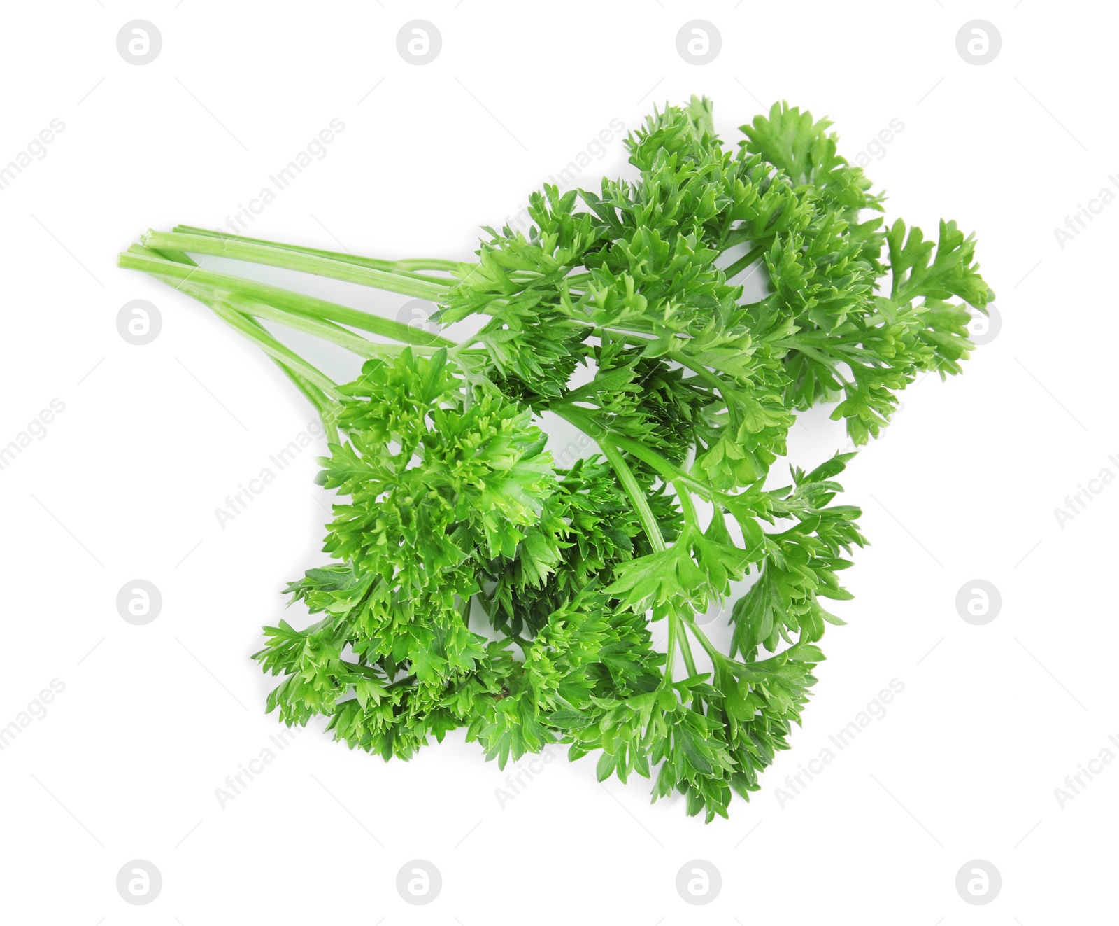 Photo of Fresh green organic parsley on white background