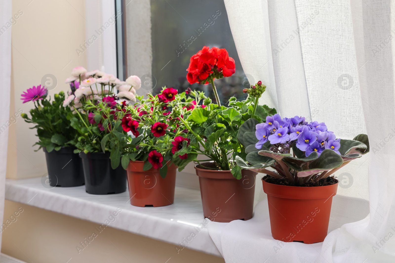 Photo of Different beautiful potted flowers on windowsill indoors