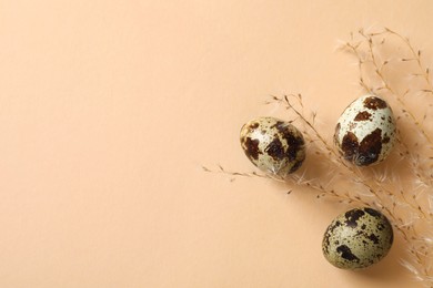 Speckled quail eggs and dry plant on beige background, flat lay. Space for text