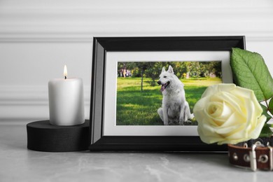 Frame with picture of dog, collar, burning candle and rose flower on light grey table. Pet funeral