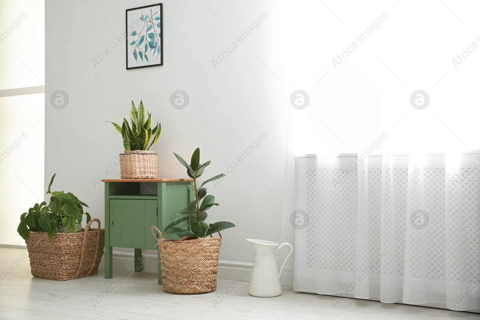 Photo of Different tropical plants in wicker pots near white wall at home