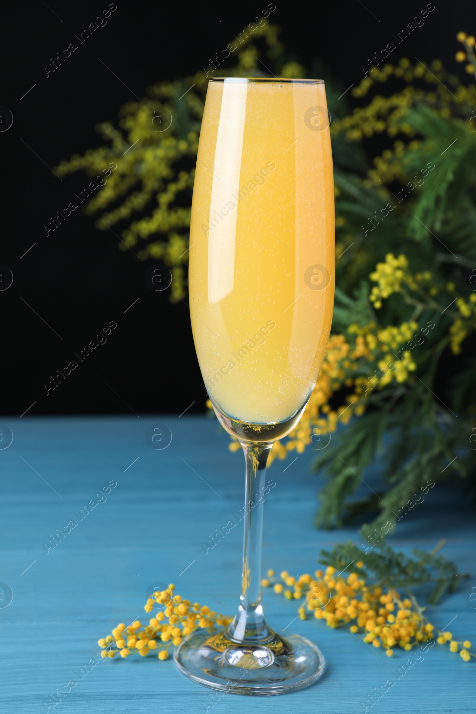 Photo of Glass of Mimosa cocktail with flowering branches on light blue wooden table