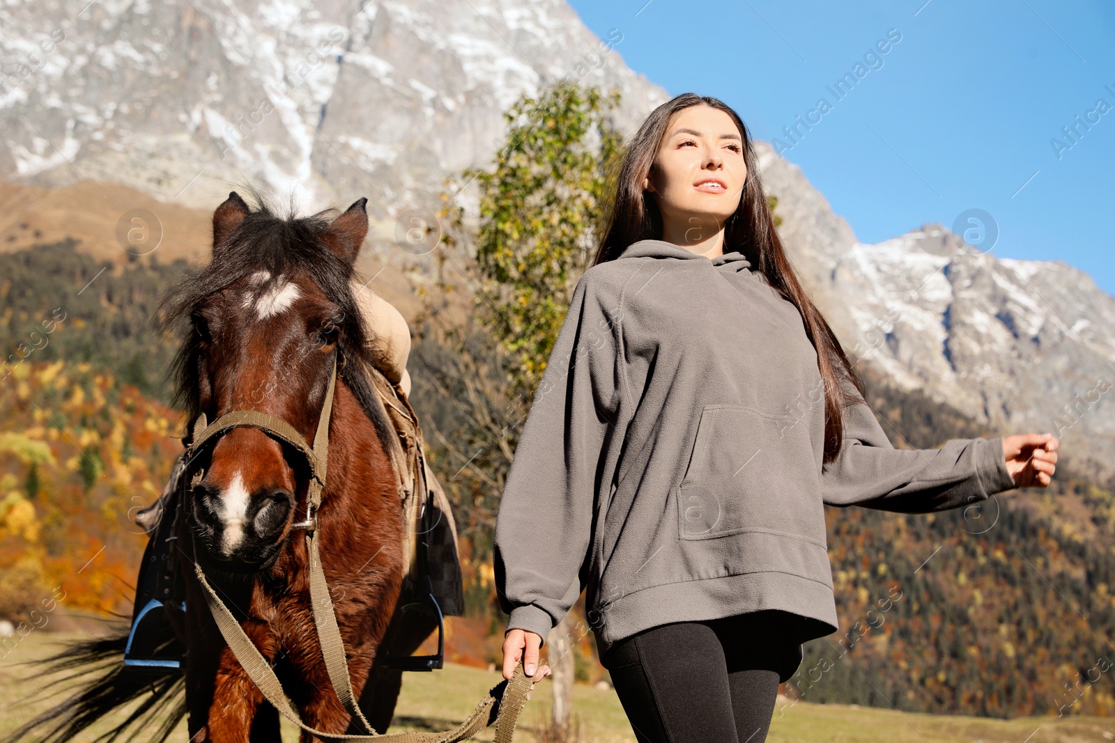 Photo of Young woman walking with horse in mountains on sunny day. Beautiful pet