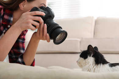 Photo of Professional animal photographer taking picture of beautiful cat at home