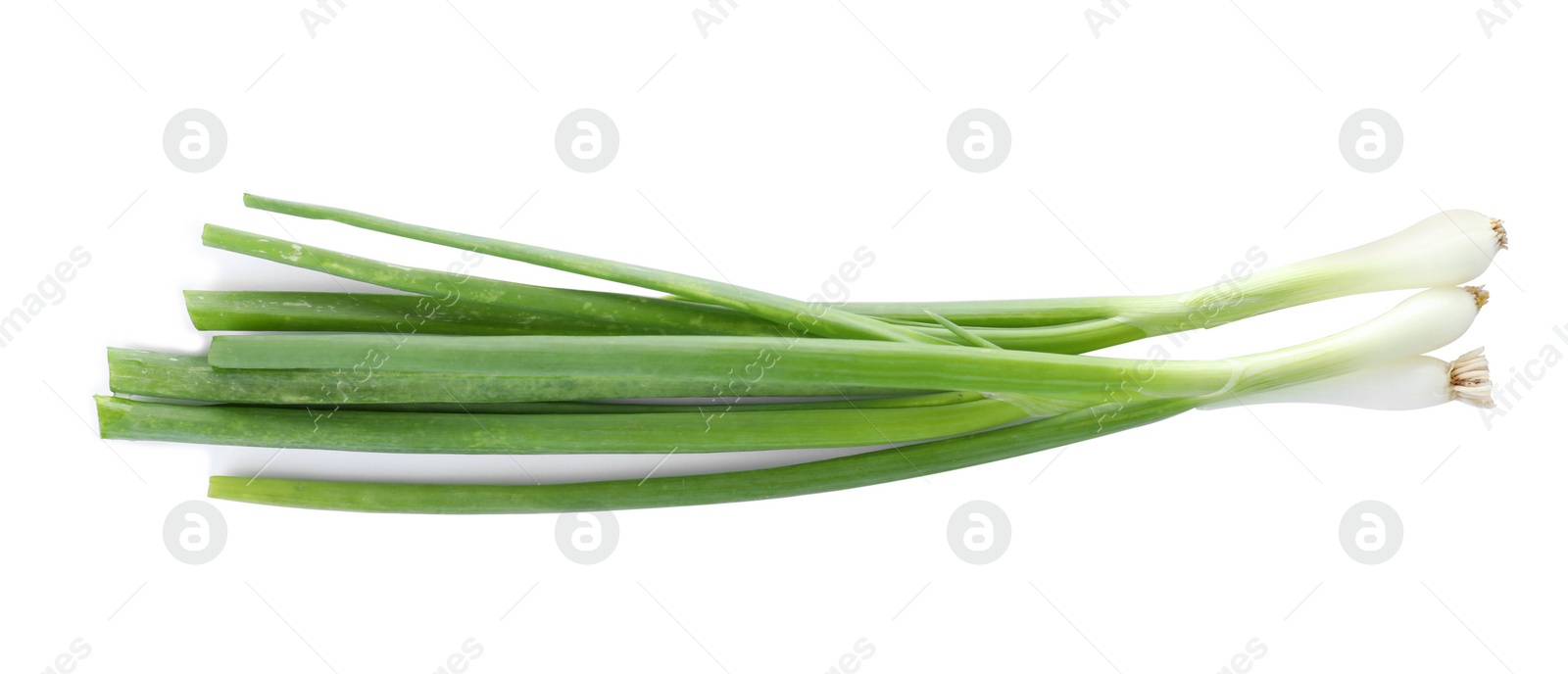 Photo of Fresh ripe green onions on white background