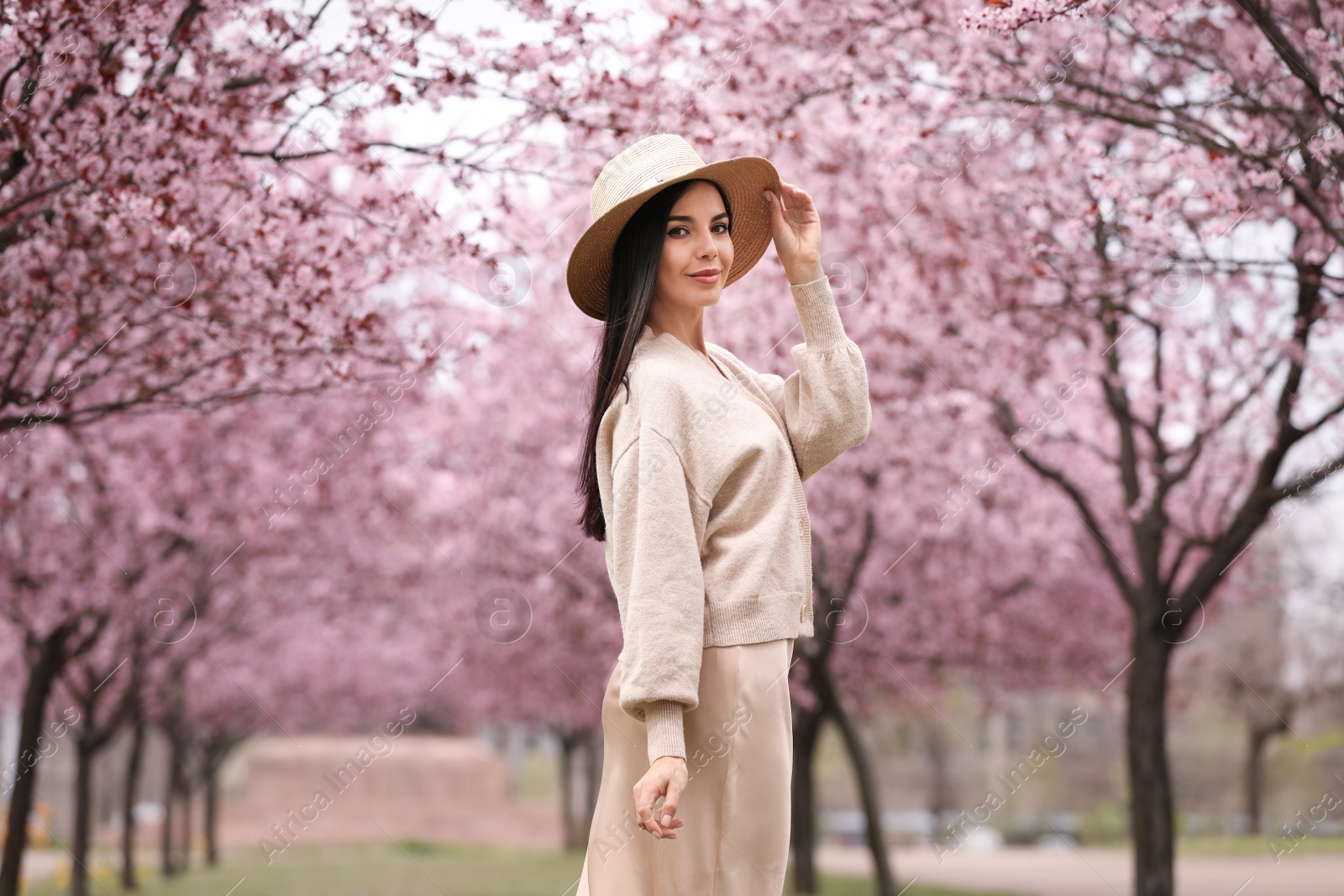 Photo of Pretty young woman in park with blooming trees. Spring look