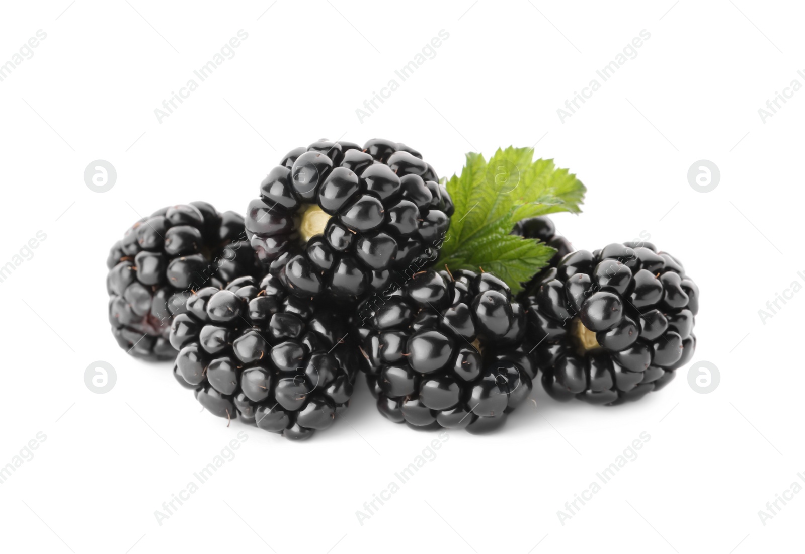 Photo of Tasty ripe blackberries and leaf on white background