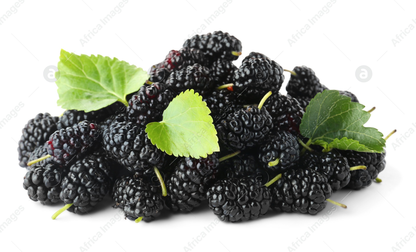 Photo of Pile of ripe black mulberries on white background