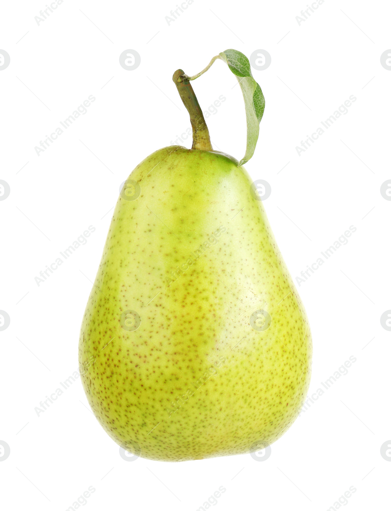 Photo of One ripe pear with leaf on white background