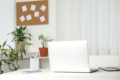 Houseplants and laptop on table in office interior