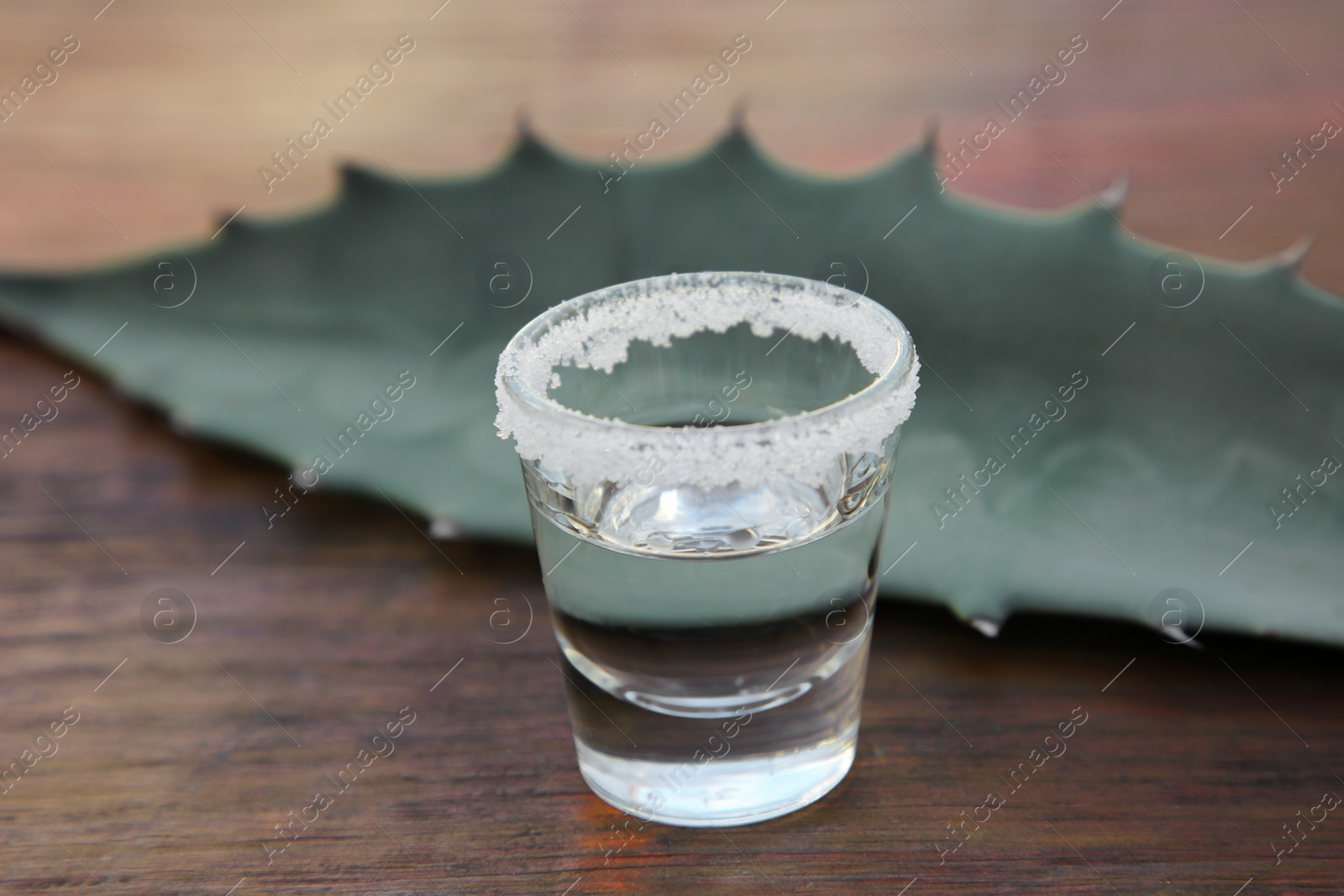 Photo of Mexican tequila shot with salt and green leaf on wooden table, closeup. Drink made of agava