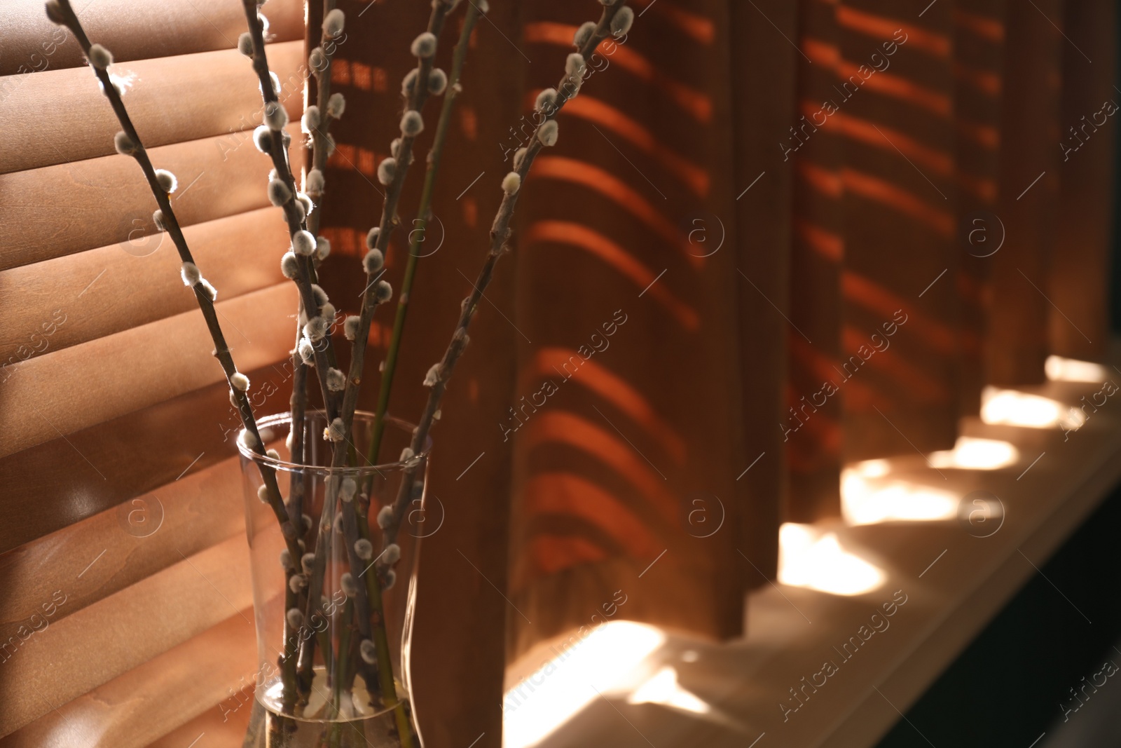 Photo of Glass vase with pussy willow tree branches on wooden windowsill