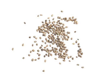 Hemp seeds on white background, top view
