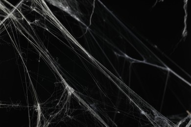 Photo of Creepy white cobweb on black background, closeup