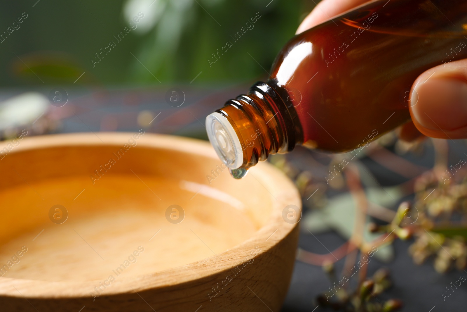 Photo of Woman dripping eucalyptus essential oil from bottle into bowl on blurred background, closeup