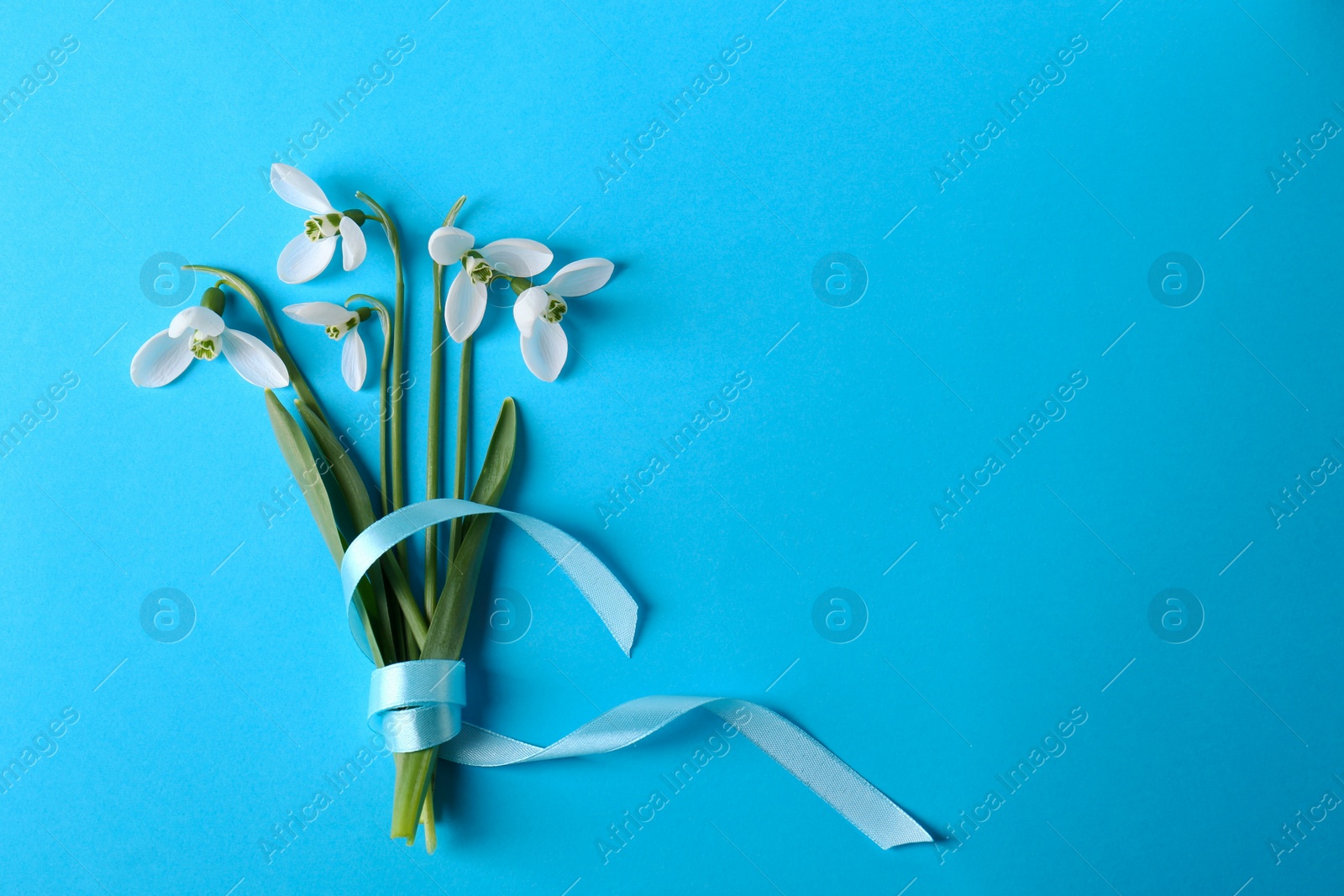 Photo of Beautiful snowdrops on light blue background, flat lay. Space for text