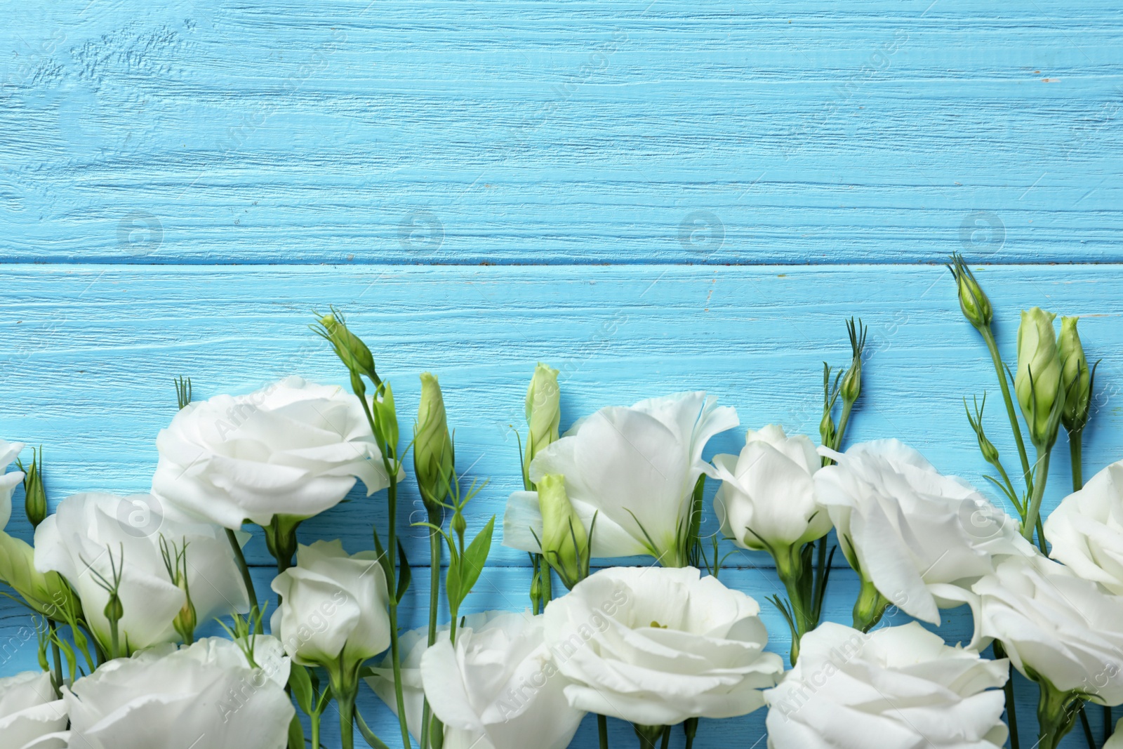 Photo of Flat lay composition with beautiful Eustoma flowers on wooden background